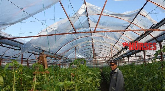 Demre'de hortum seralara zarar verdi
