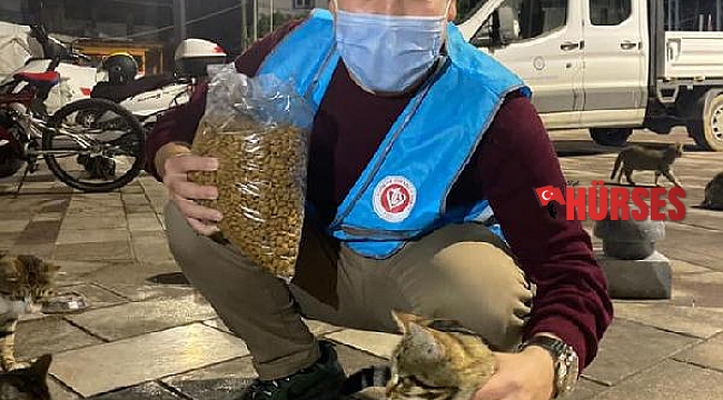 Din görevlileri sokak hayvanlarına sahip çıktı