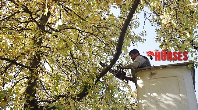 Döşemealtı'na kış bakımı