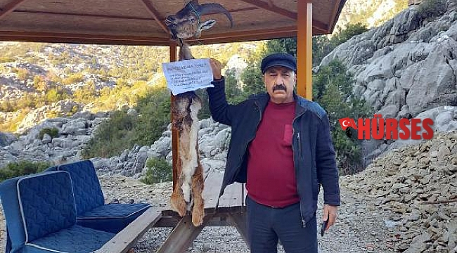 Kaçak avladıkları yaban keçisinin derisini yüzüp, not bırakarak ipe astılar