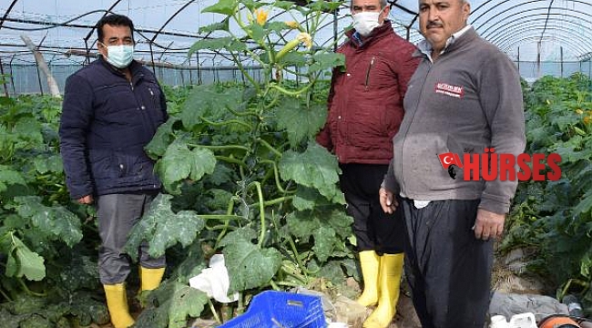 Kökce'den zarar gören üreticilere ziyaret