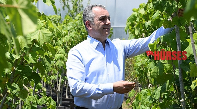 Konyaaltı Belediyesi, 2020'de 45 bin metrekare yeşil alan açtı