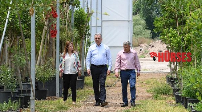 Konyaaltı Belediyesi, 2020'de 45 bin metrekare yeşil alan açtı