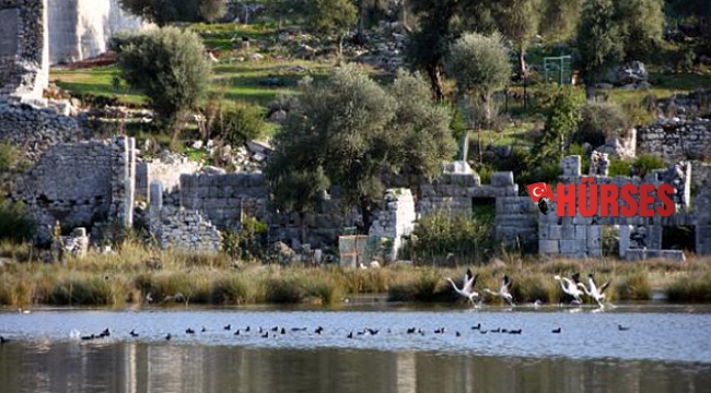 Kuş Cenneti'nde göçmen kuşların şöleni