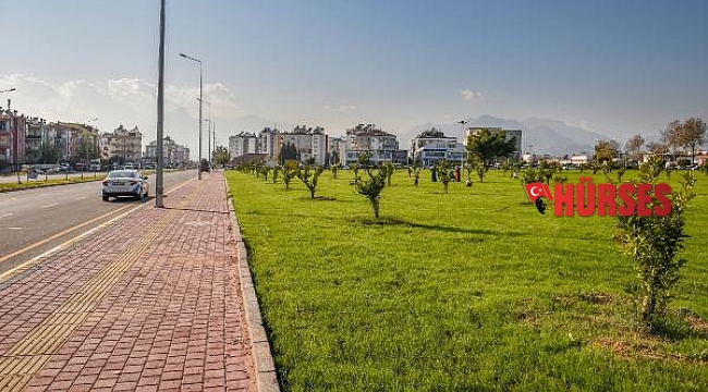 Moloz alanı bahçeye dönüştü
