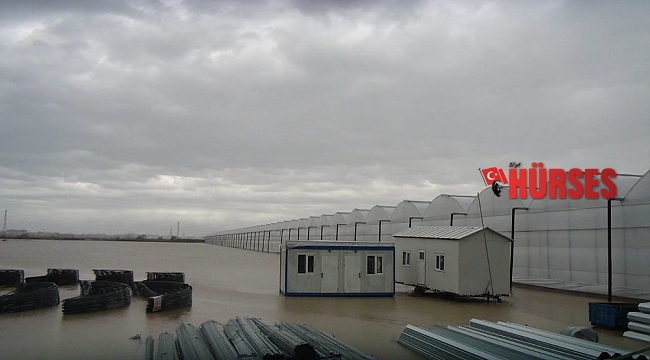 Muz seraları 1,5 metrelik suyun altında kaldı
