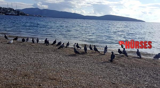 Turistik ilçelerde sessizlik hakim