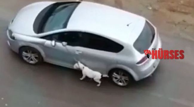 Vicdansız!