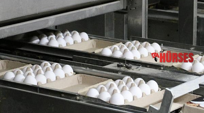 'Yumurtada fahiş fiyatın sorumlusu aracılar'