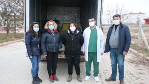 9 yaban hayvanı, Ormanya'ya teslim edildi