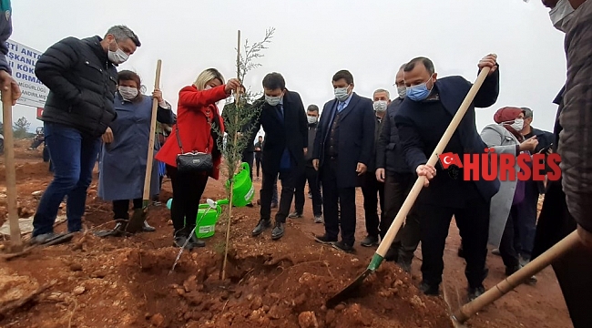 AK Parti'den İsmail Kökçe adına hatıra ormanı
