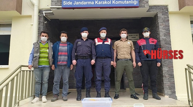 Antalya'da yasa dışı hayvan ticaretine 8 bin 692 TL ceza