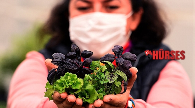 Antalya'nın balkonları fesleğen, marul maydanoz kokacak