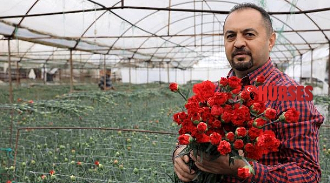 Avrupalı sevgililerin çiçekleri Antalya'dan