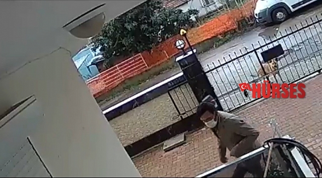 Balkondan masa çalan hırsıza köpek bile baktı kaldı
