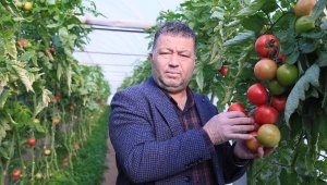 Domatesin fiyatı, 10 kilometrede 3 kat arttı