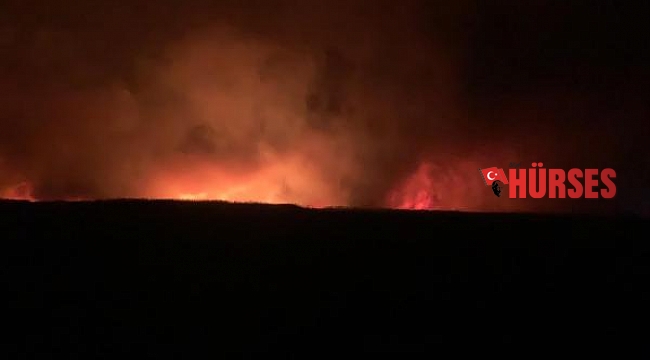 Eber Gölü'ndeki sazlık alanda üçüncü kez yangın çıktı