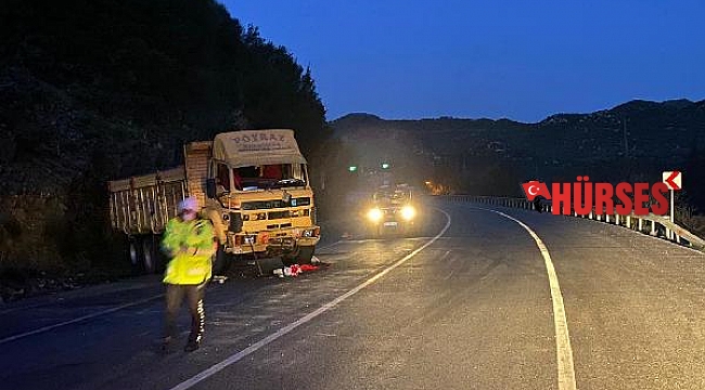 Kamyon kayalıklara çarptı, sürücü yaralandı