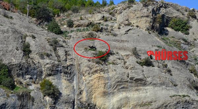 Kayalıkta mahsur kalan 3 keçiyi jandarma kurtardı