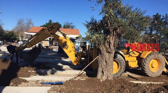 Kemer 'yeşile boyanıyor'