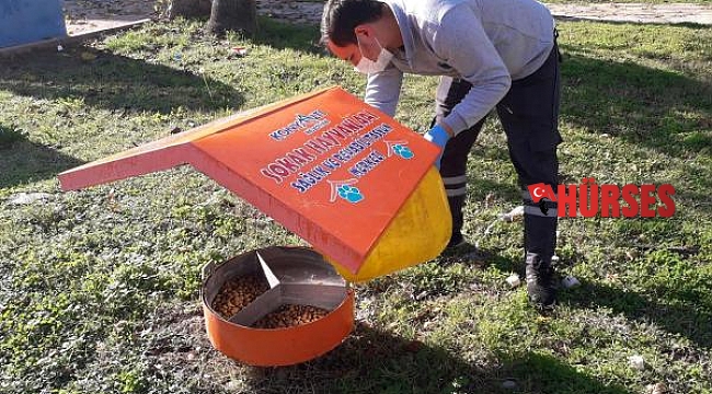 Konyaaltı'nda can dostlar unutulmuyor