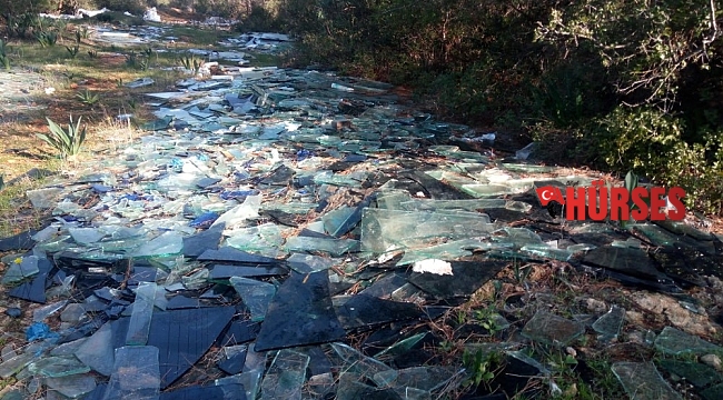 Ormanlık alanı çöplüğe çevirdiler