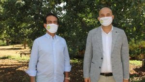 Peynir Atölyesi 50 bin kişiye ulaştı