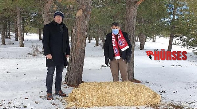 Yaban hayvanları için Akdağ'a yem bıraktılar