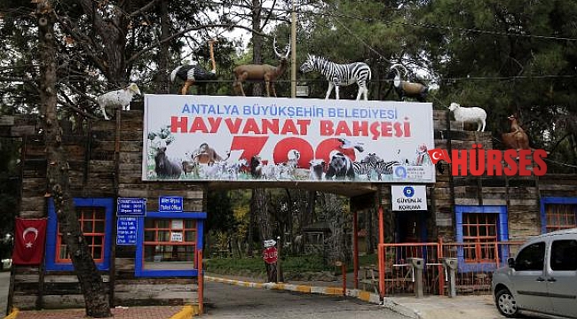 Antalya Hayvanat Bahçesi kapılarını ziyarete açıyor
