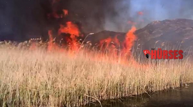Antalya'da sazlık alanda yangın