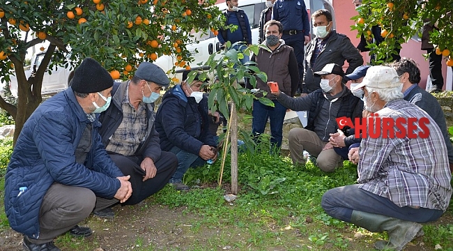 Büyükşehir Belediyesinden Alanyalı çiftçilere uygulamalı eğitim