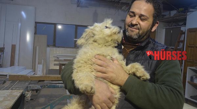 Çalınan köpeği Şans'ın bulunmasını istiyor