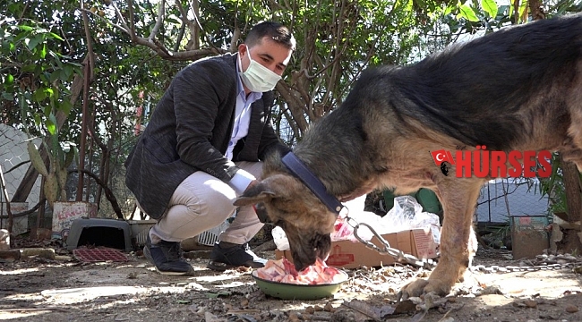 Cezaevinden gelen dilekçe hayvanları ölümden kurtardı