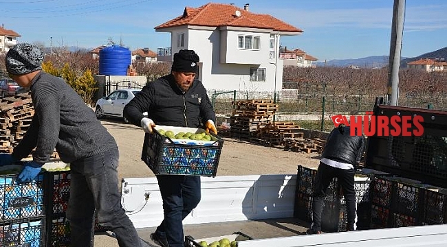 Coğrafi işaretli tonlarca karyağdı armudu alıcı bekliyor
