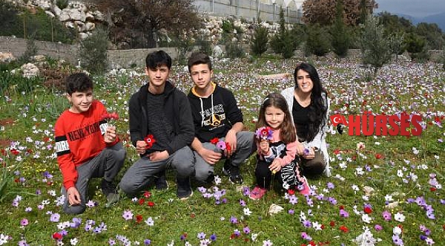 Demre'de çiçekler açtı, baharı andıran görüntüler oluştu