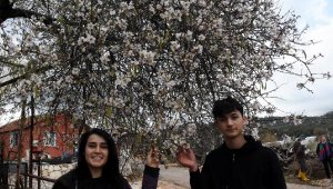 Demre'de mevsimi şaşıran ağaçlar çiçek açtı