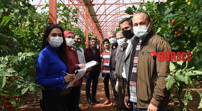 Demre'de üreticiye danışma hizmeti