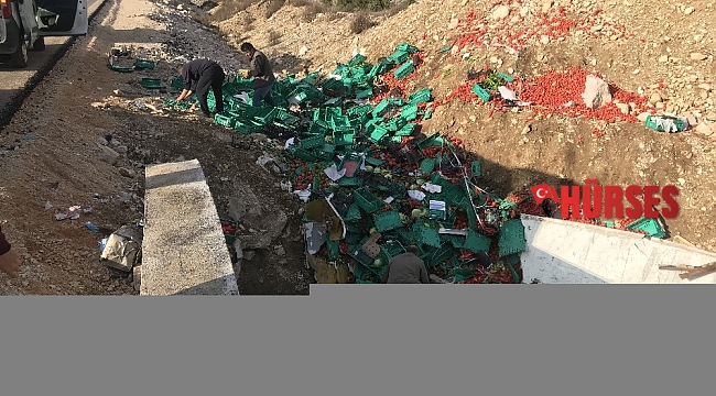 Devrilen tırdan yola saçılan sebze ve meyveyi kasalara koyup evlerine götürdüler