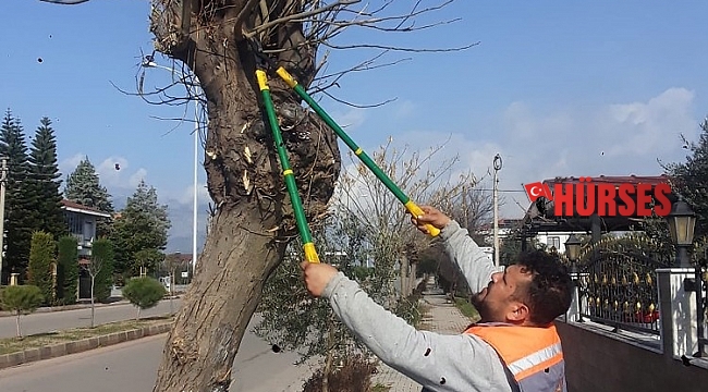 Döşemealtı'nda 120 parkta budama ve bakım yapıldı