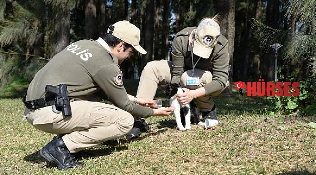 Hayvanları koruma polisi, sokak hayvanlarını besledi