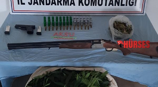 Jandarmadan uyuşturucu operasyonu