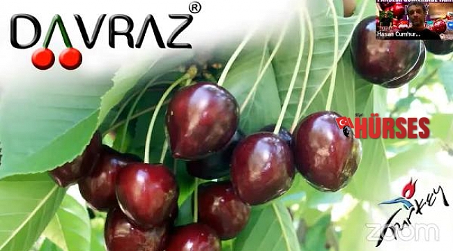 Kirazın 20 yıllık başarı hikayesi