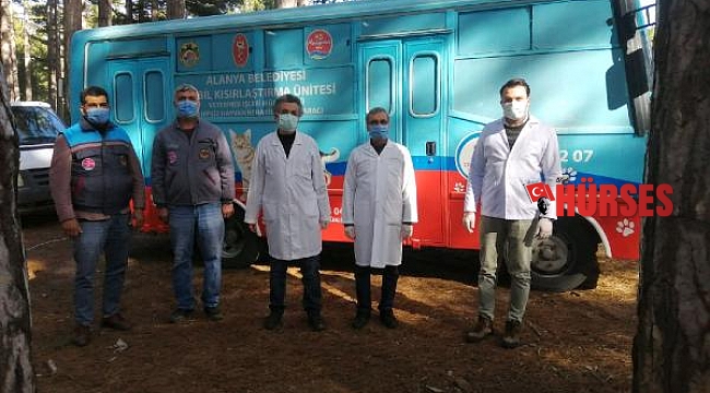 Kırsalda sokak hayvanları aşılanıyor