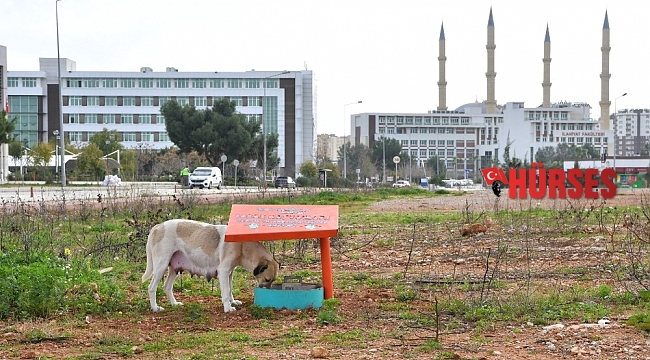 Konyaaltı Belediyesi'nden, AÜ'ye beslenme odağı