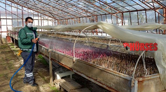 Manavgat Belediyesi üreterek tasarruf ediyor