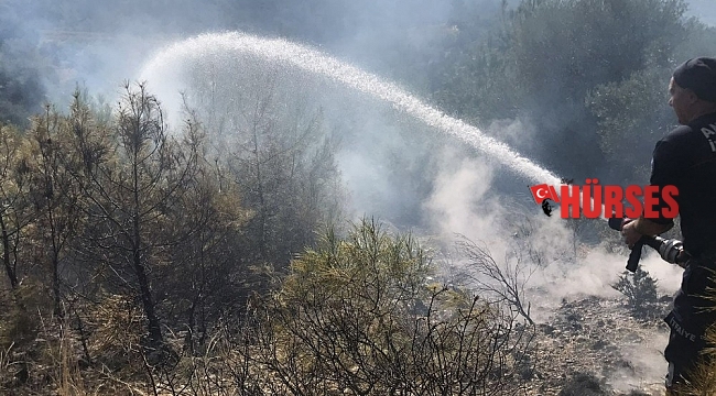 Manavgat&#039;ta kırsal alan yangını
