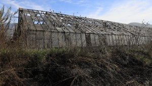 'Sazlık alan, hayvan otlatmak ve avcılık için yakıldı' iddiası