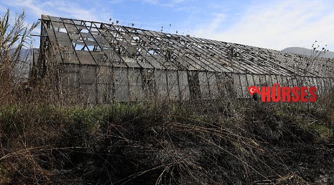 'Sazlık alan, hayvan otlatmak ve avcılık için yakıldı' iddiası