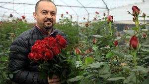 Sevgililer gününün kırmızı gülü serada 5, çiçekçide 15 lira