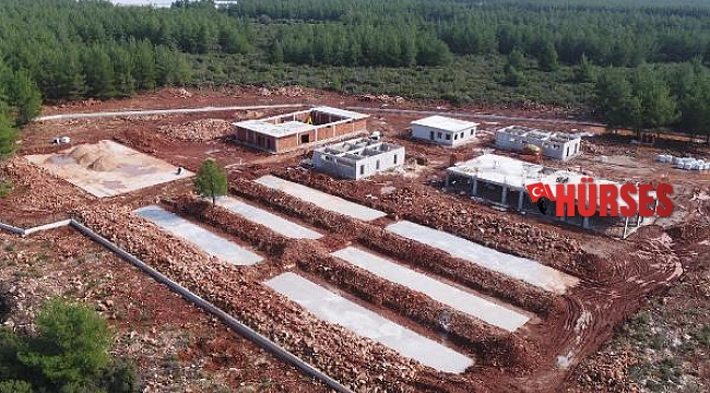Sokak Hayvanları Bakımevi Projesi yükseliyor
